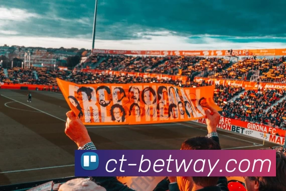 必威BETWAY官网平台生态图